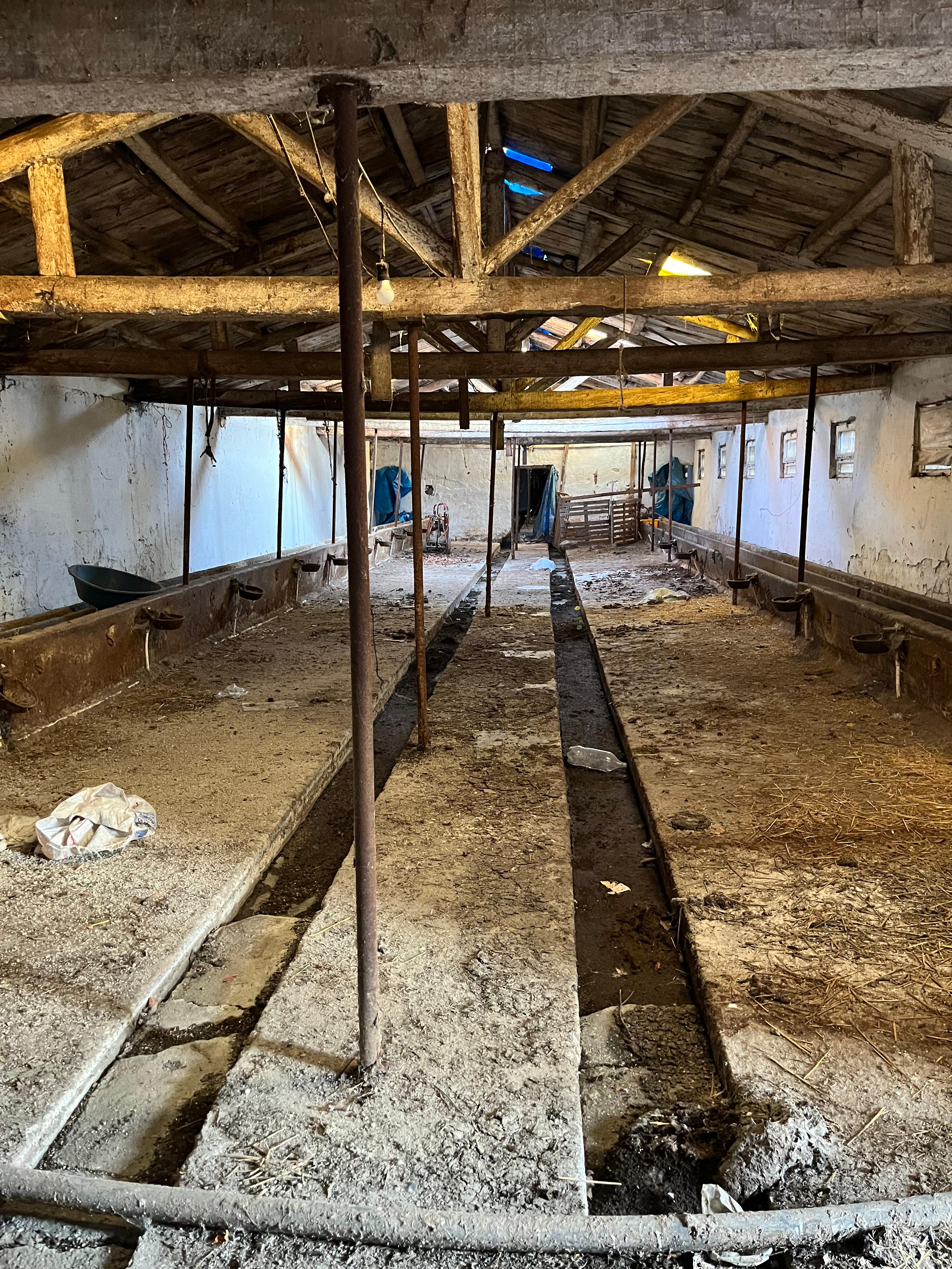 MABEL'DEN KURULU DÜZEN BESİ ÇİFTLİĞİ